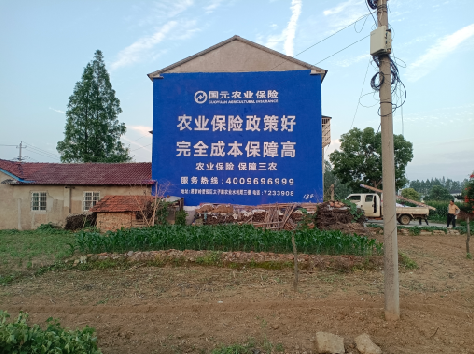 开化墙体广告为何受追捧？